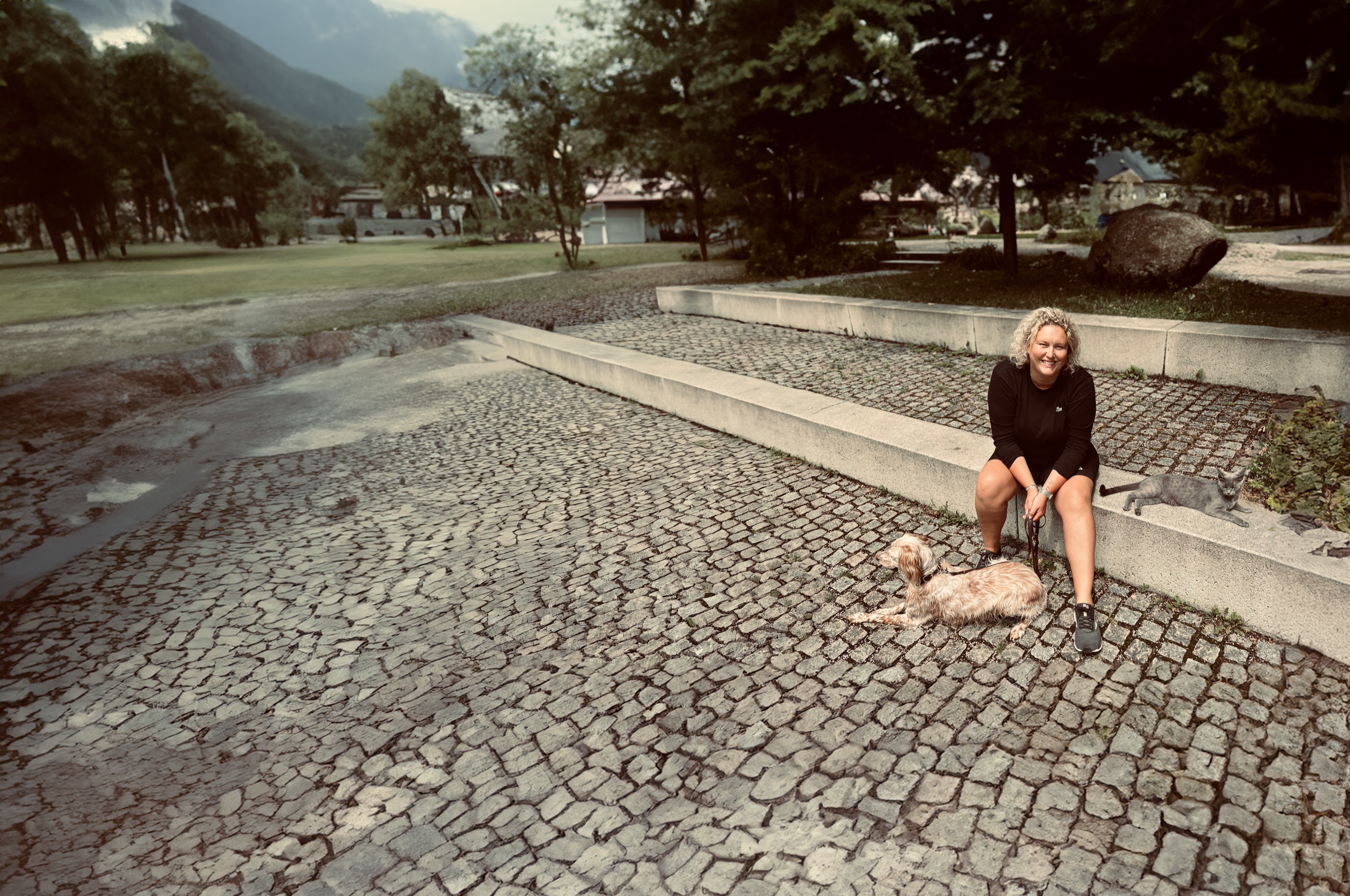 Hintergrundbild